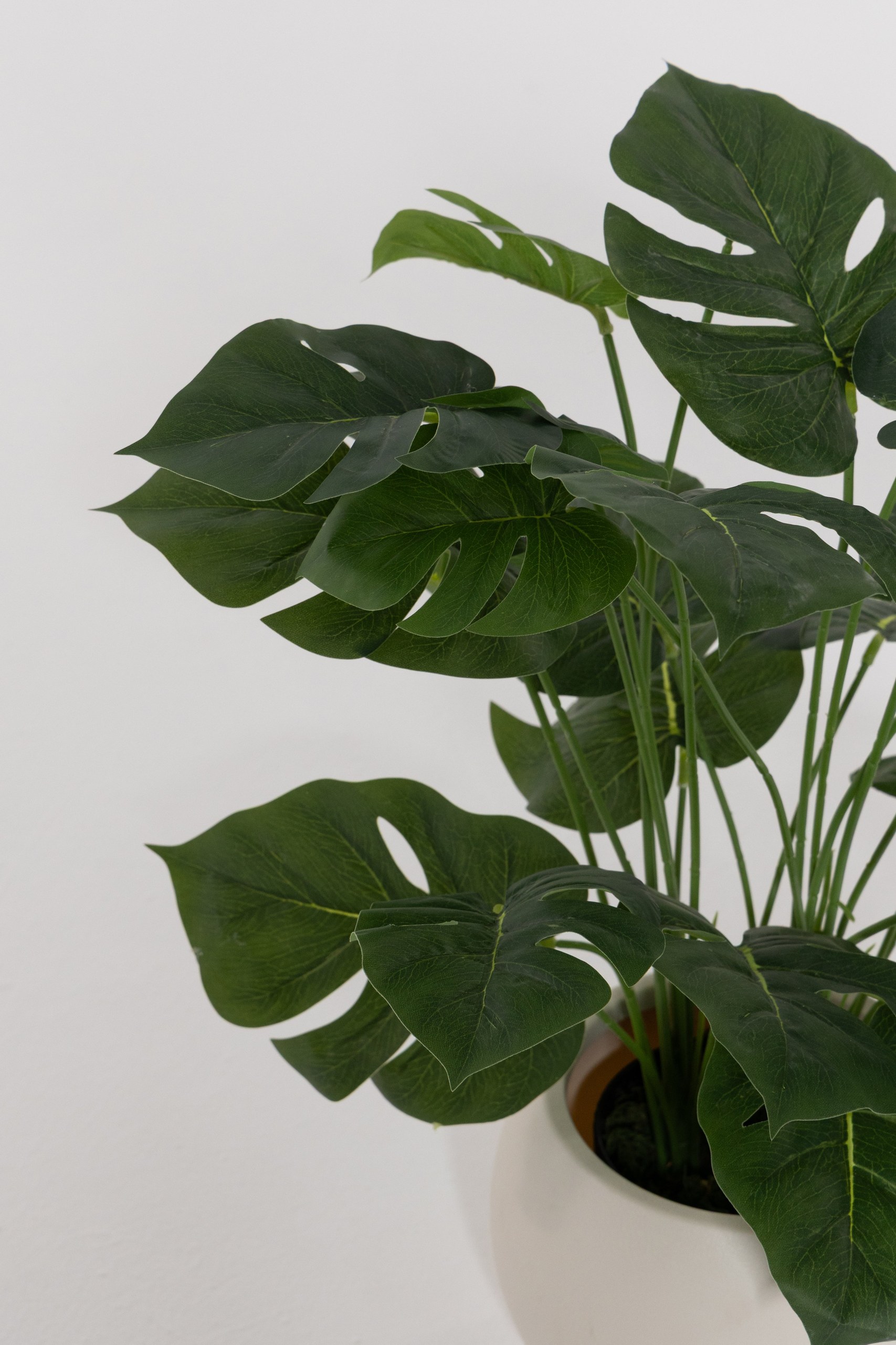 Monstera Artificial Plant (50CM) - Image 2