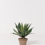 Agave Americana Artificial Plant (60CM)