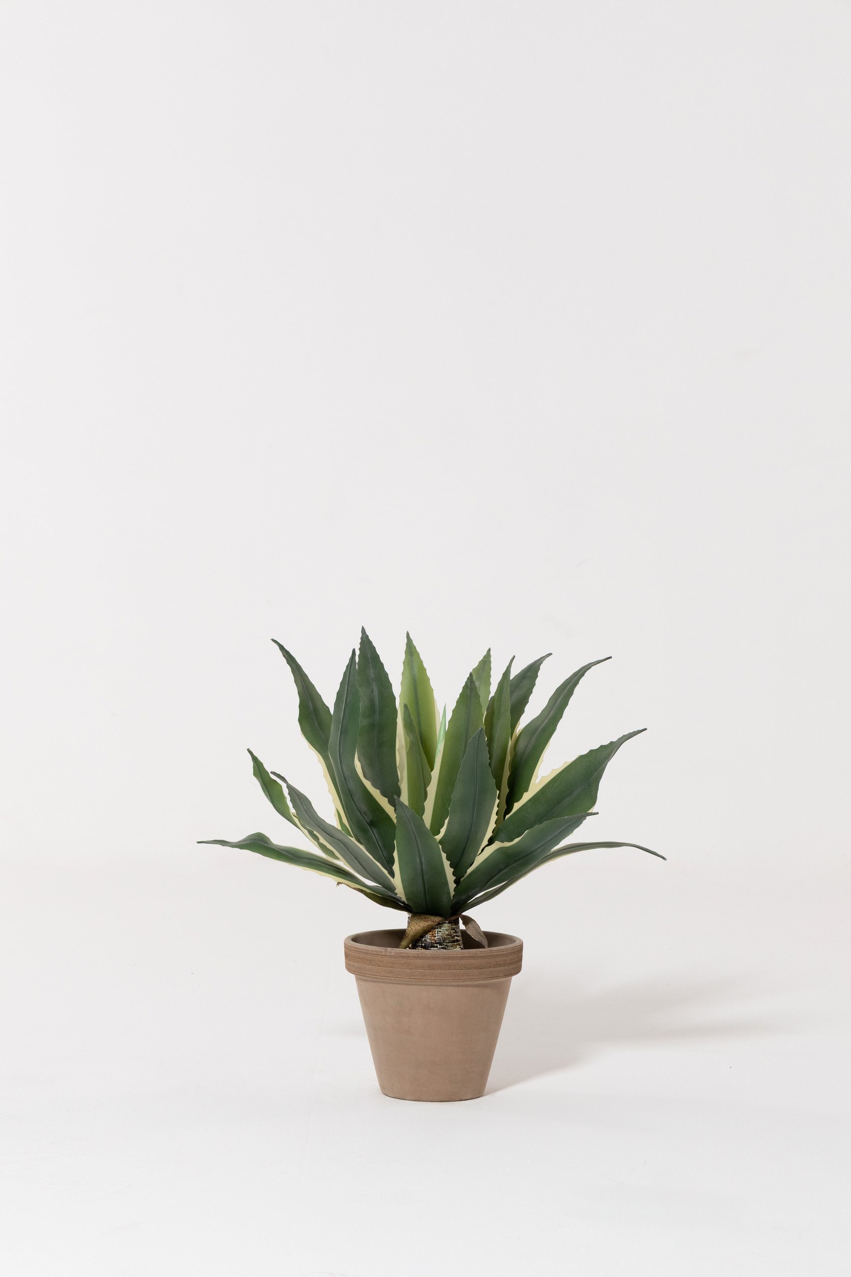 Agave Americana Artificial Plant (60CM)