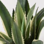 Agave Americana Artificial Plant (60CM)