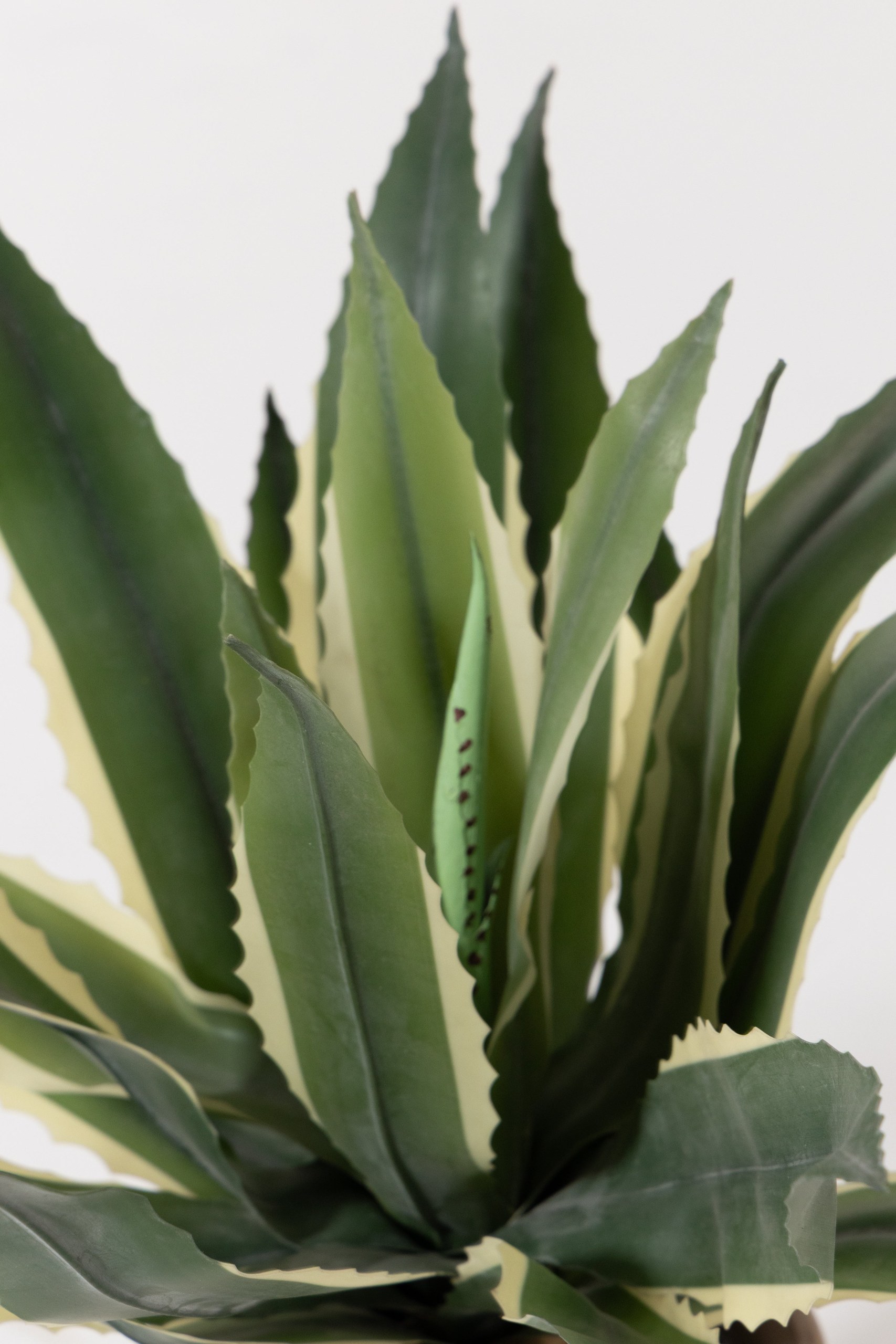 Agave Americana Artificial Plant (60CM) - Image 2