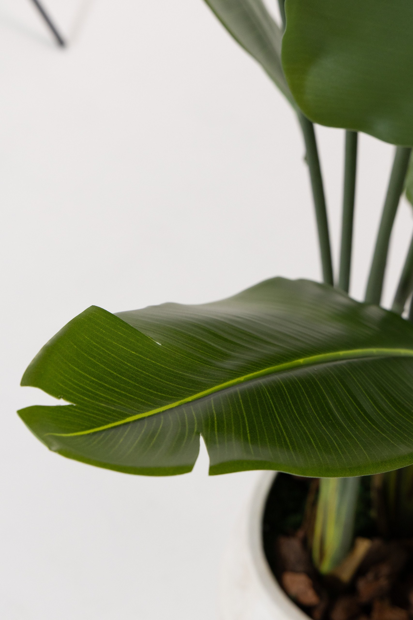 Artificial Birds of Paradise Tree (180CM) - Image 2