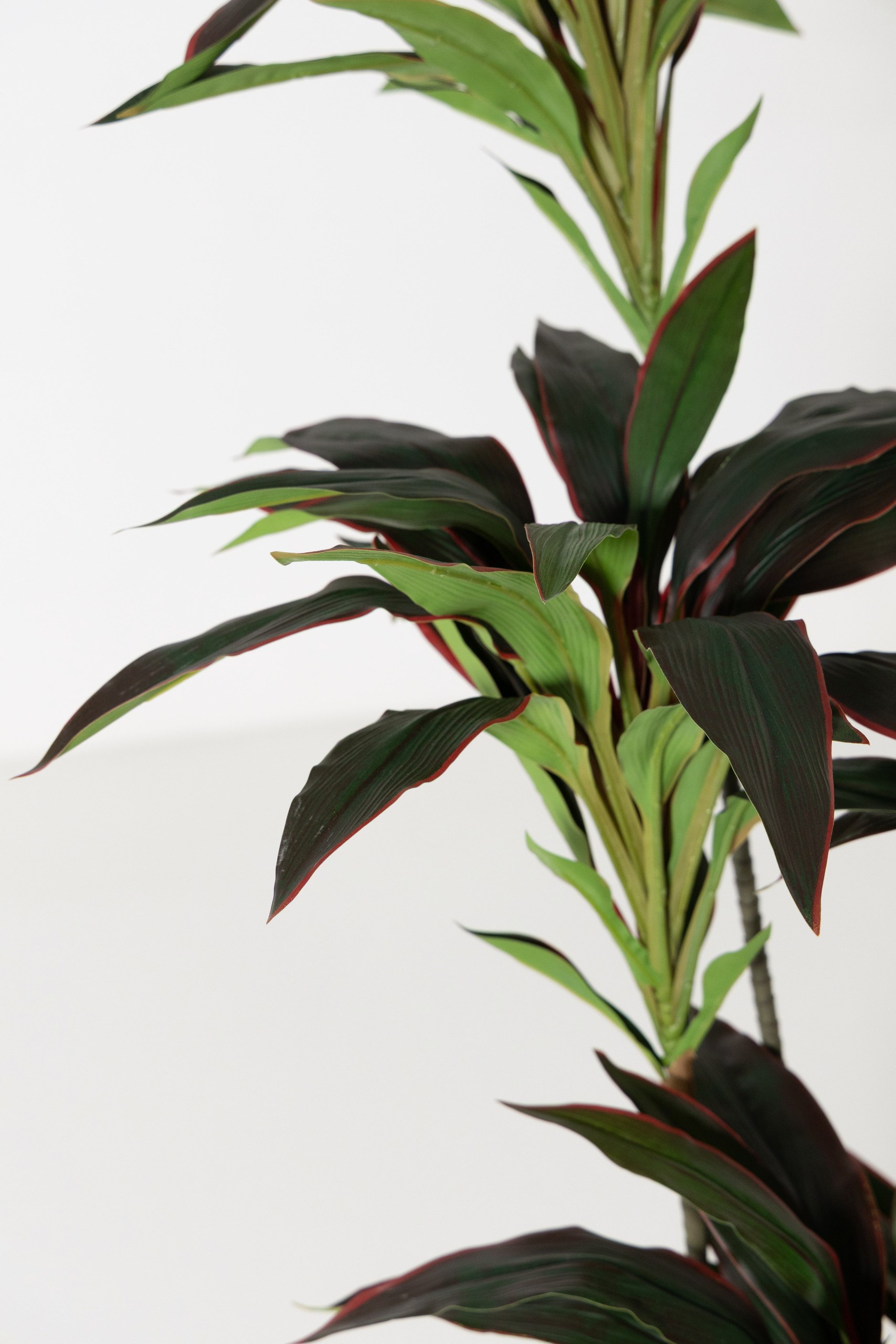 Artificial Dracaena Plant (150CM) - Image 2