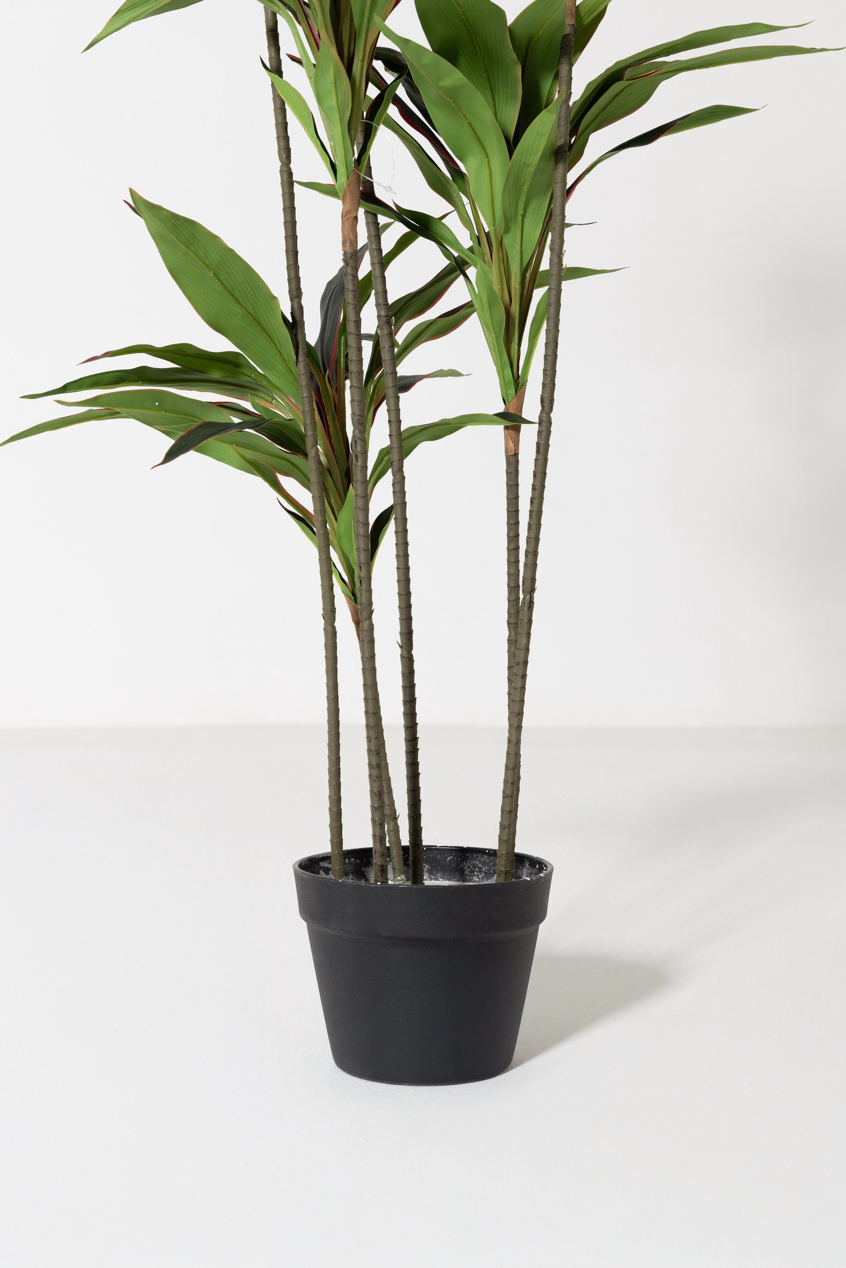 Artificial Dracaena Plant (150CM) - Image 4