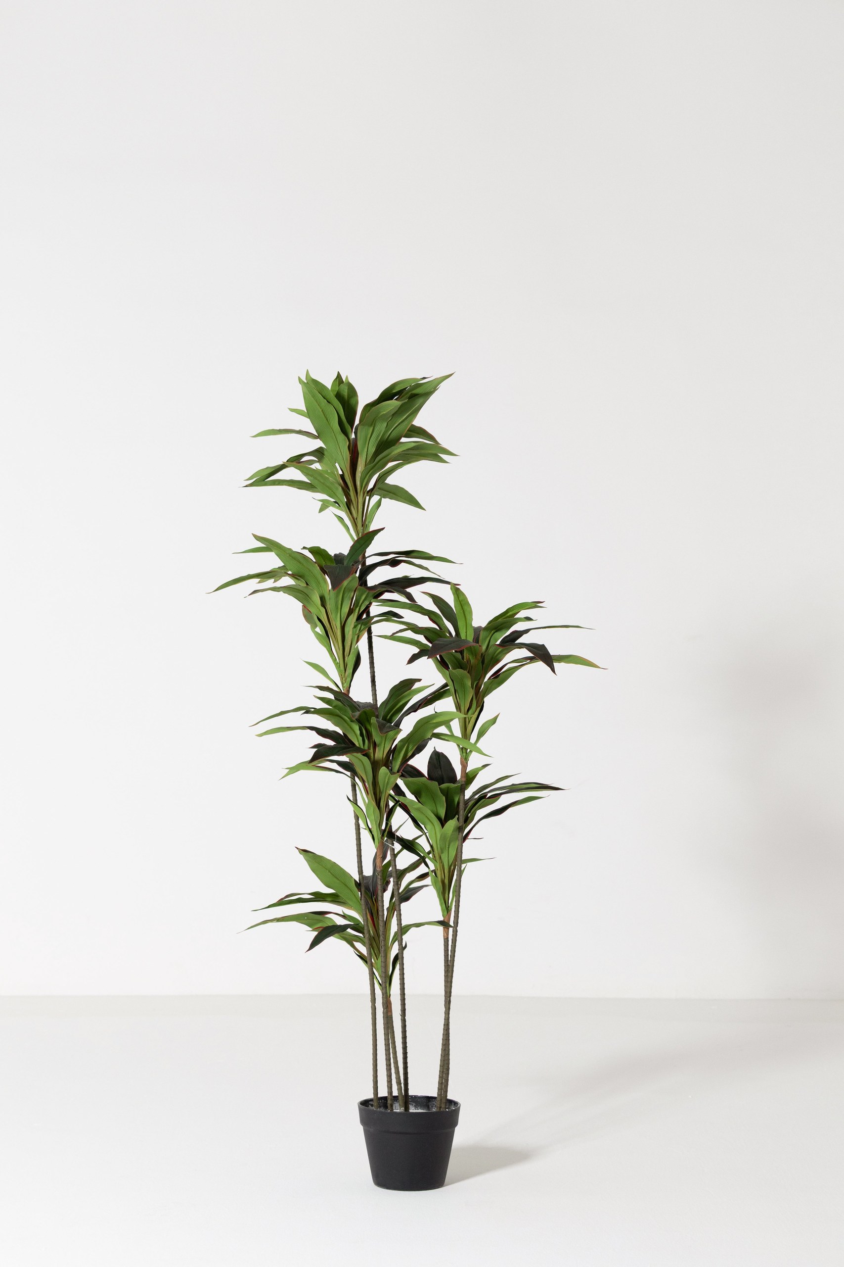 Artificial Dracaena Plant (150CM) - Image 5