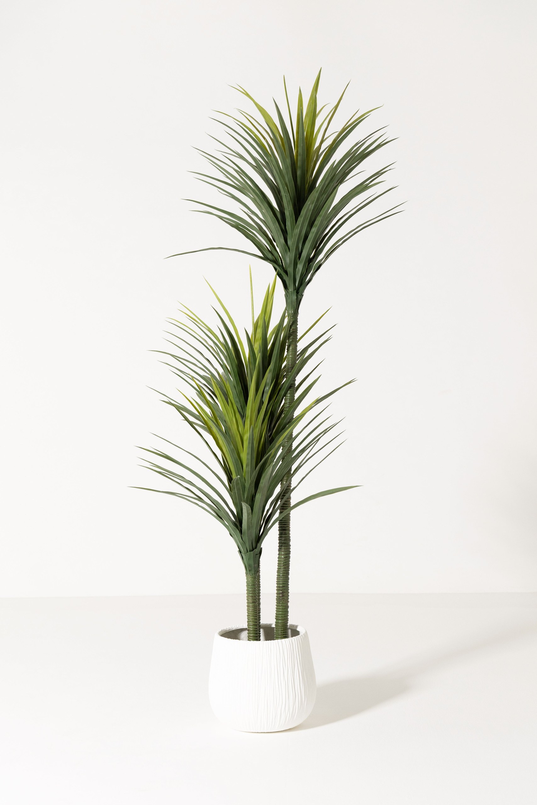 Yucca Artificial Plant (200CM)