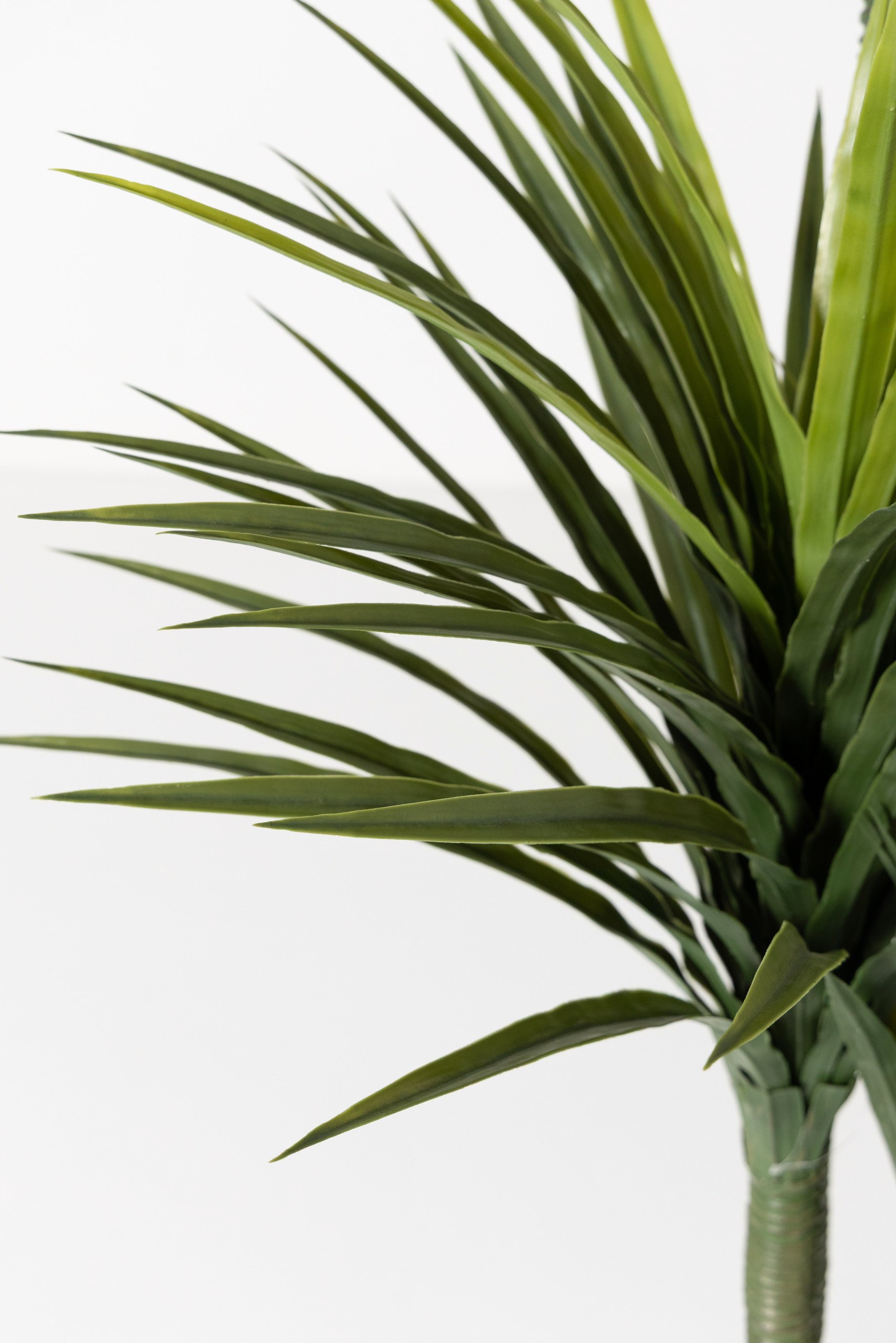 Yucca Artificial Plant (200CM) - Image 2