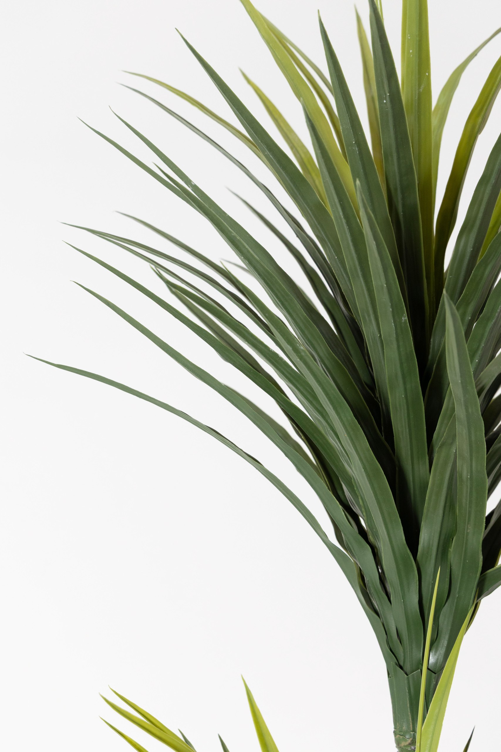 Yucca Artificial Plant (200CM) - Image 5