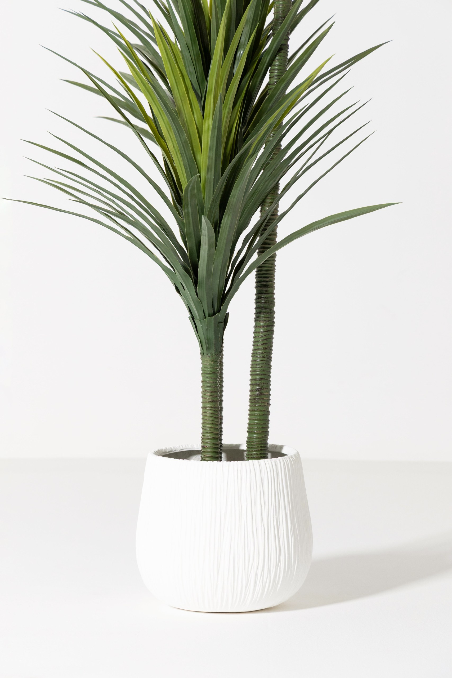 Yucca Artificial Plant (200CM) - Image 6