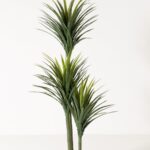 Yucca Artificial Plant (200CM)