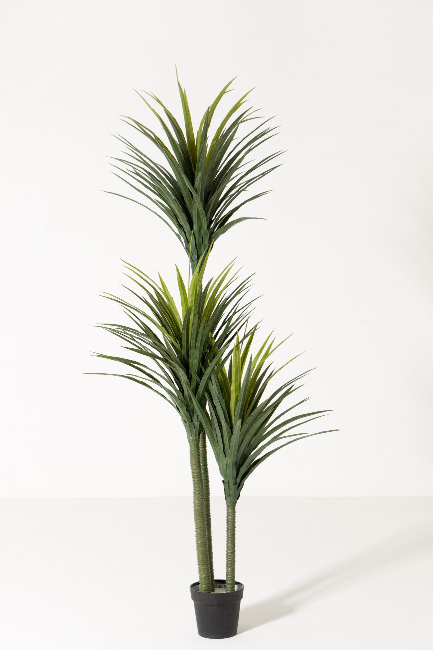 Yucca Artificial Plant (200CM) - Image 7