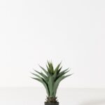 Aloevera Artificial Plant (63CM)