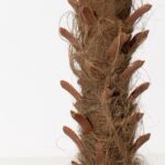 Artificial Phoenix Palm Tree
