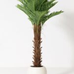 Artificial Phoenix Palm Tree