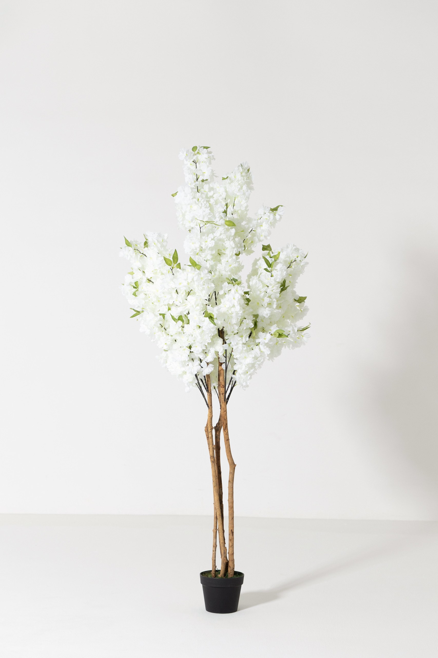 Artificial White Cherry Blossom PLANT Tree (180CM)