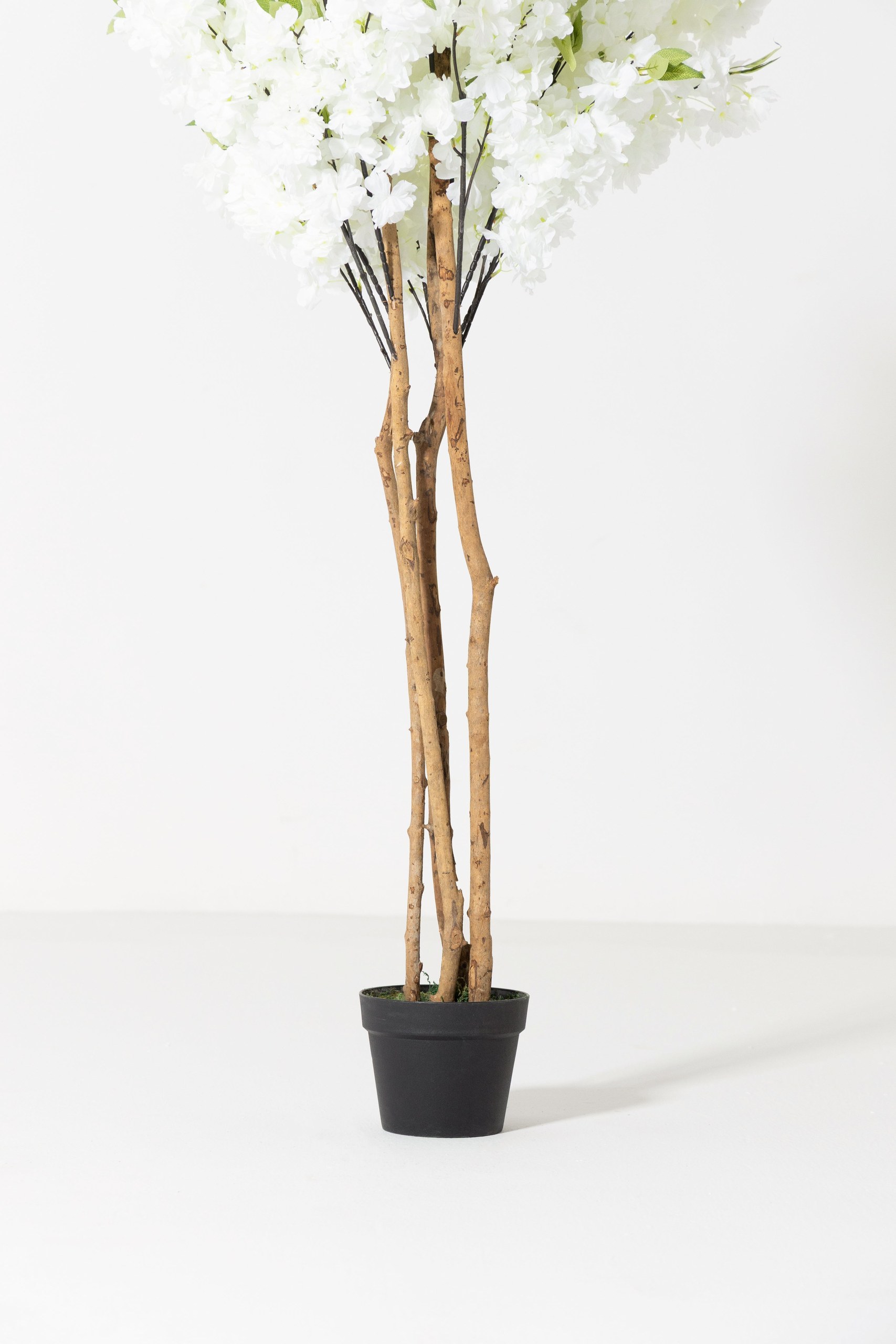 Artificial White Cherry Blossom PLANT Tree (180CM) - Image 3