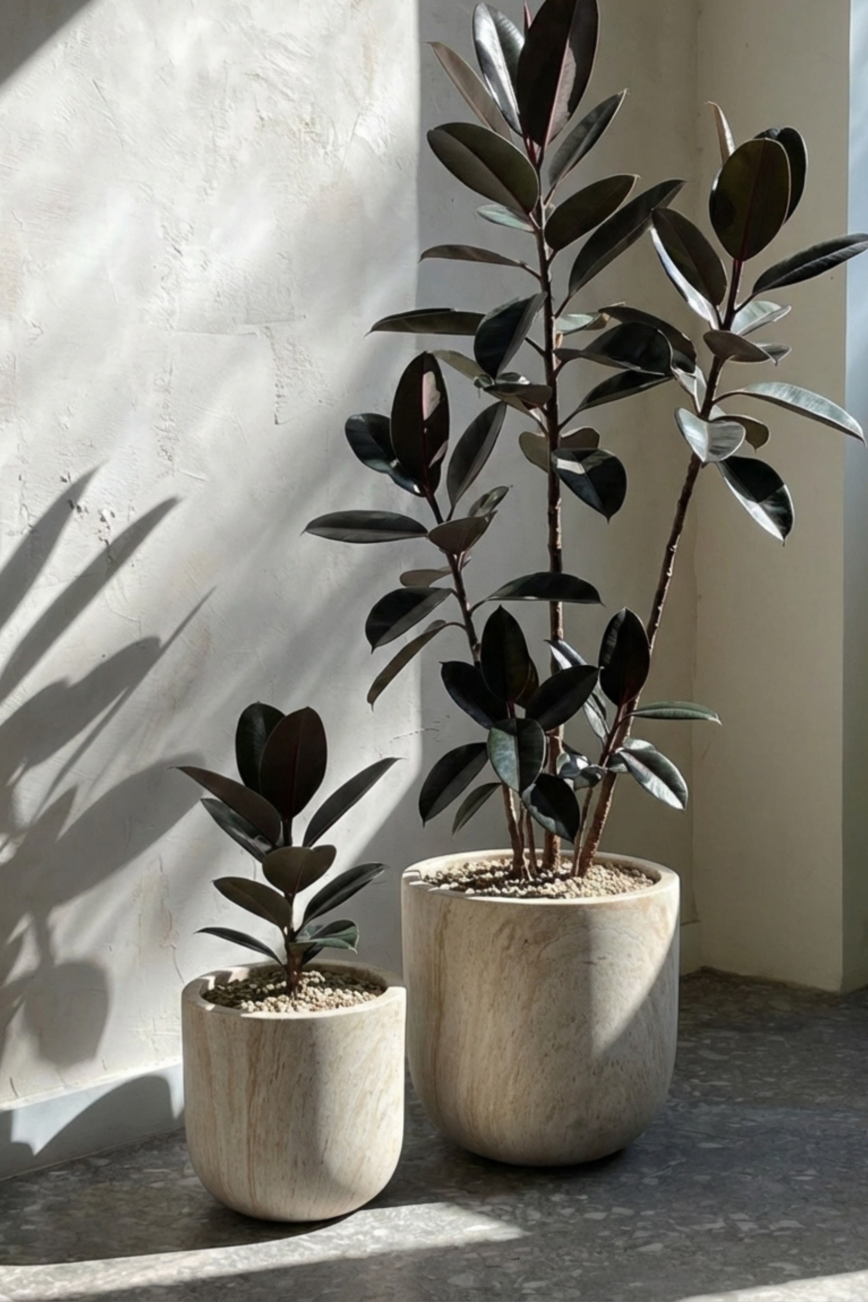 Orlia Travertine Finish Concrete Pot - Image 6