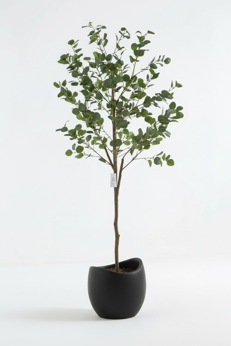 Benji Black Concrete Pot - Image 2