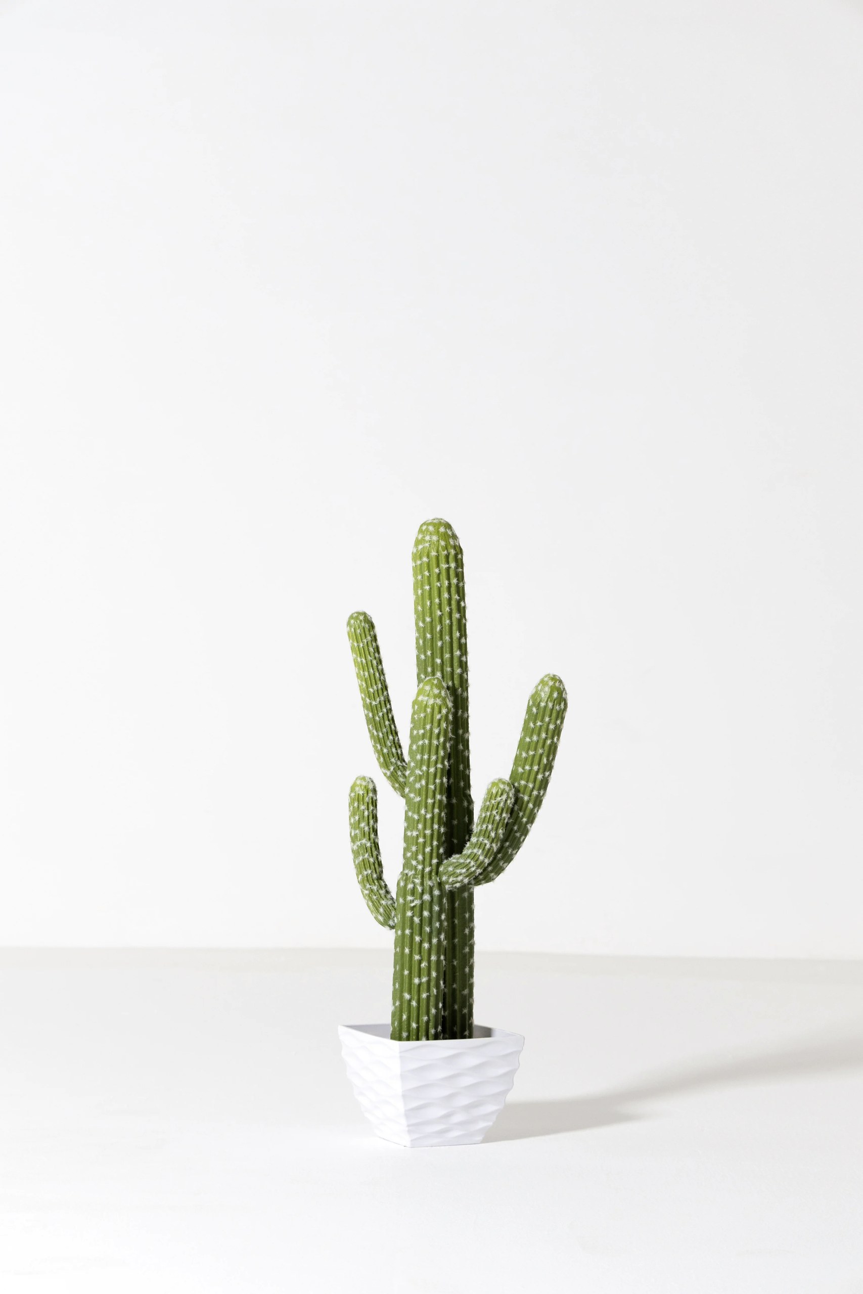 Artificial Cactus Plant (80 CM)