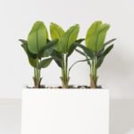 Artificial Banana Potted Plant