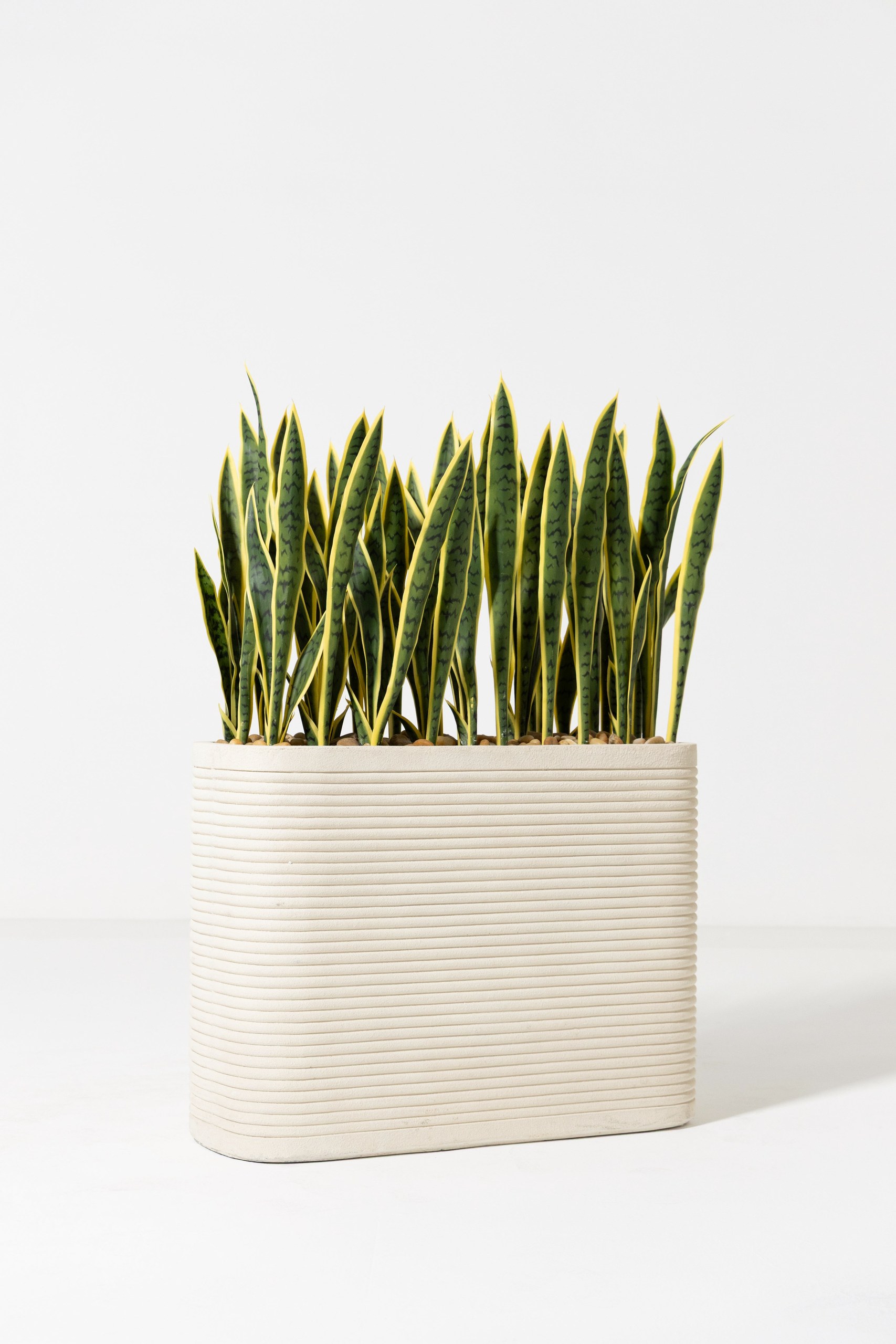Artificial Sansevieria Laurentii Potted Plant (130CM)