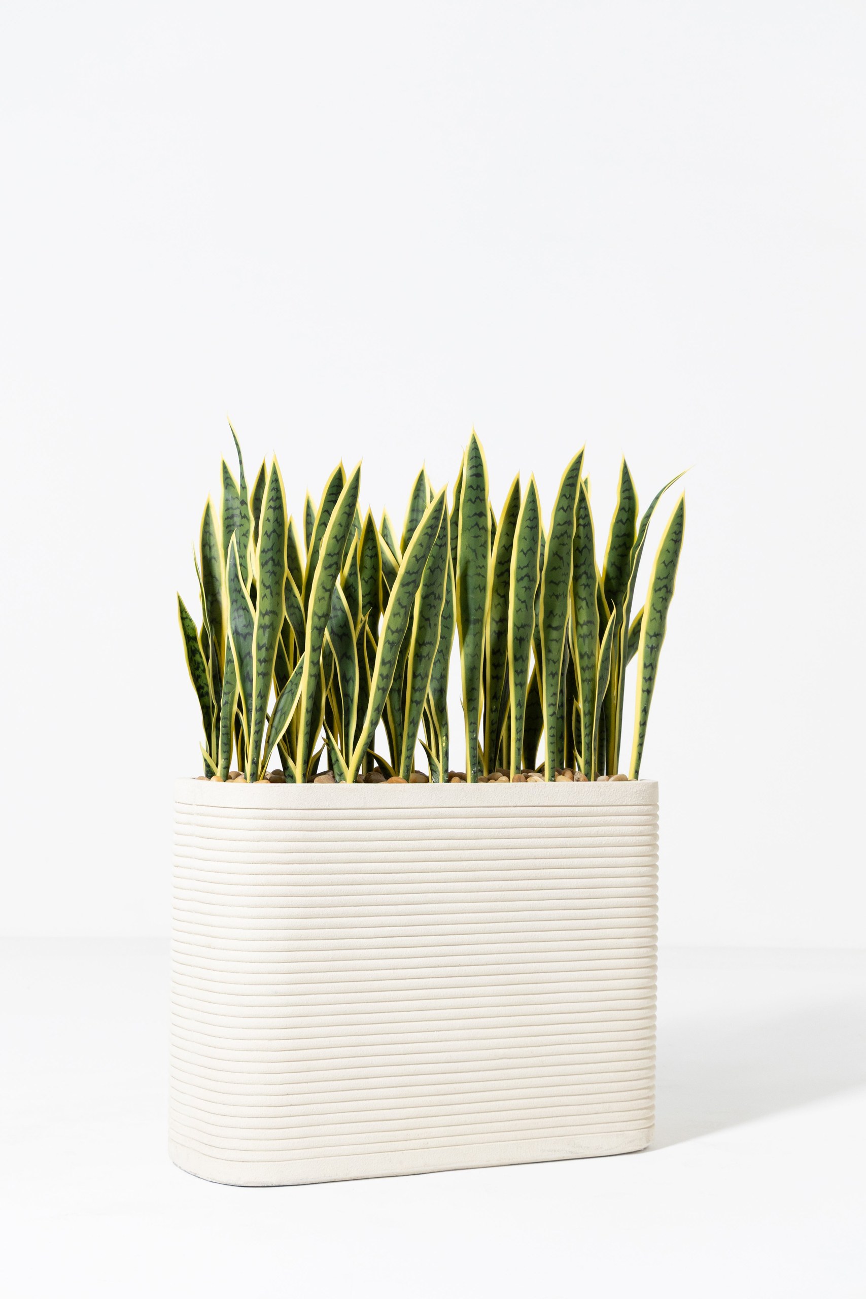 Artificial Sansevieria Laurentii Potted Plant (130CM) - Image 2
