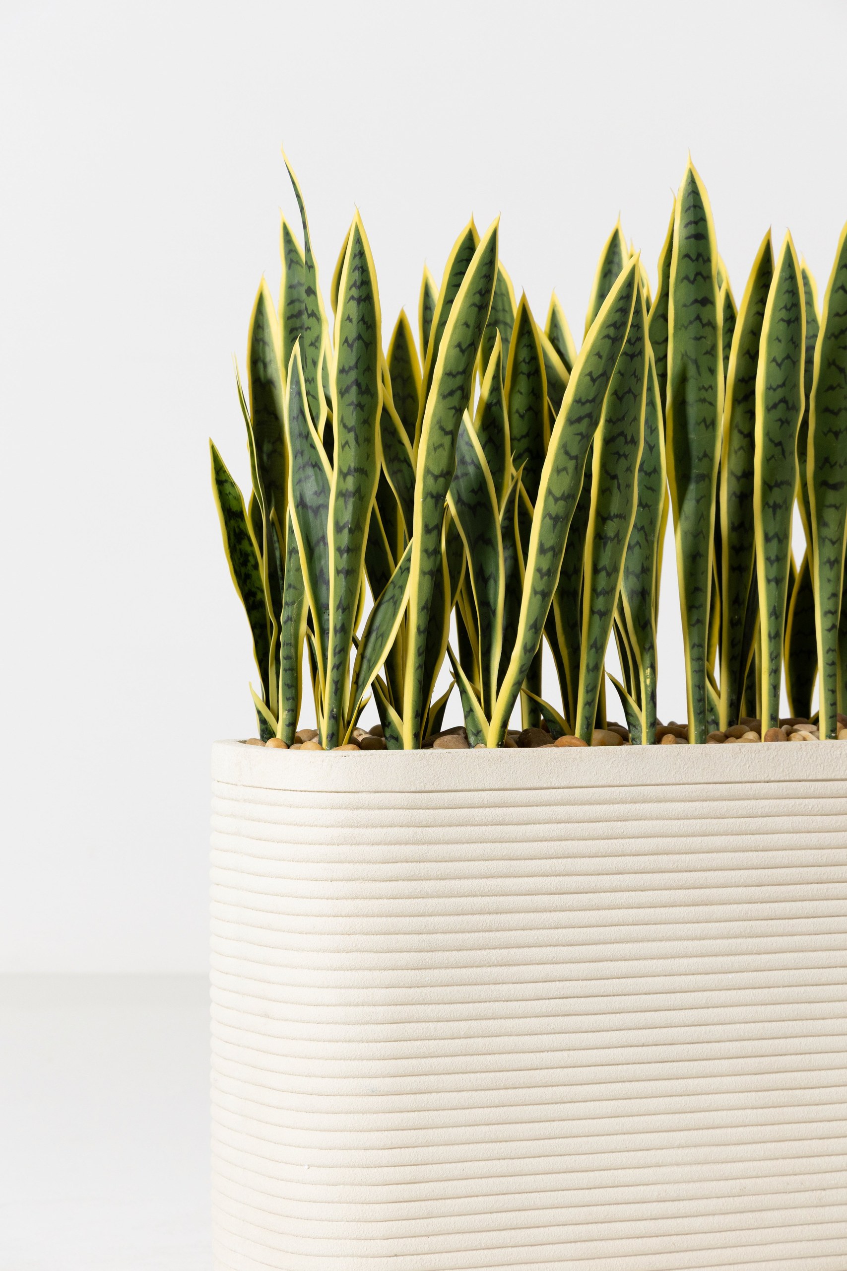 Artificial Sansevieria Laurentii Potted Plant (130CM) - Image 3