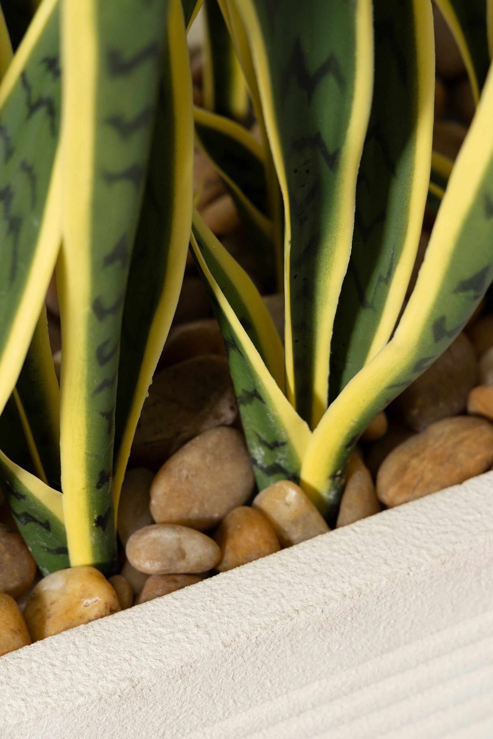 Artificial Sansevieria Laurentii Potted Plant (130CM) - Image 6