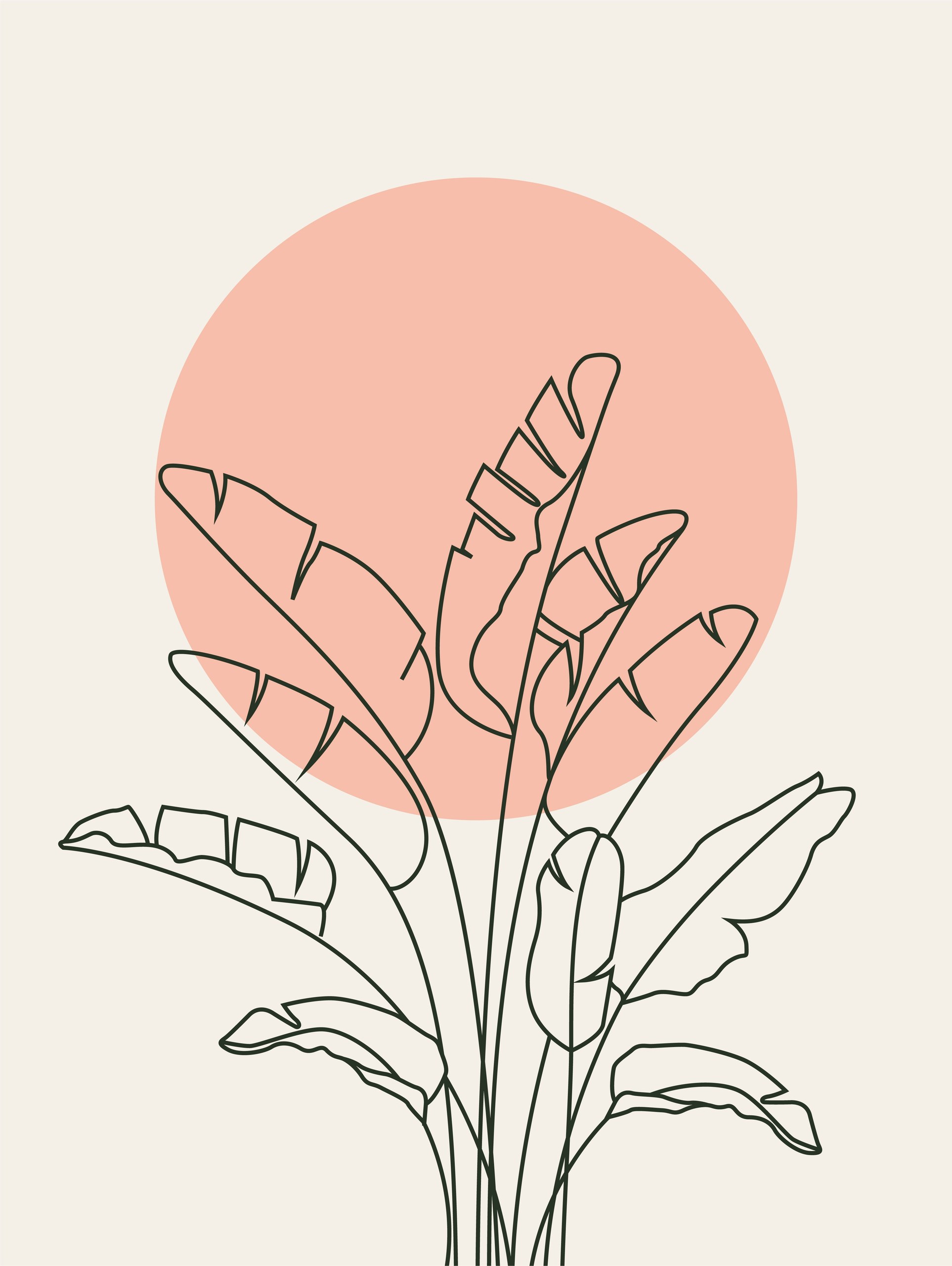 Blush Banana Botanica Wall Art - Image 2