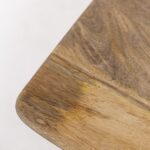 Kova Mango Wood Center/Coffee Table