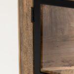 Raina Mango Wood Cabinet