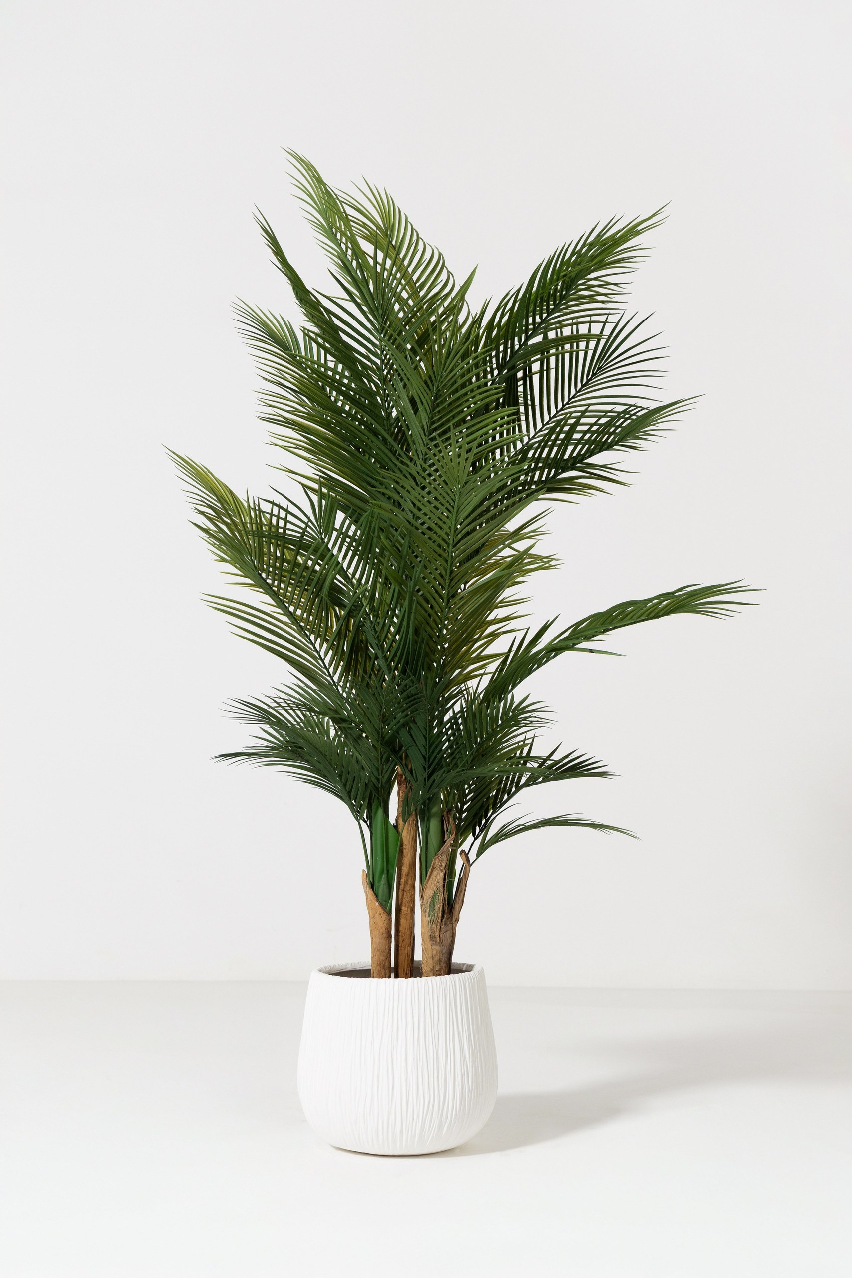 Oryn Off White Textured Fiberglass Pot - Image 4