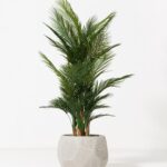 Aiva Beige Carved Fiberglass Pot