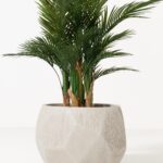 Aiva Beige Carved Fiberglass Pot