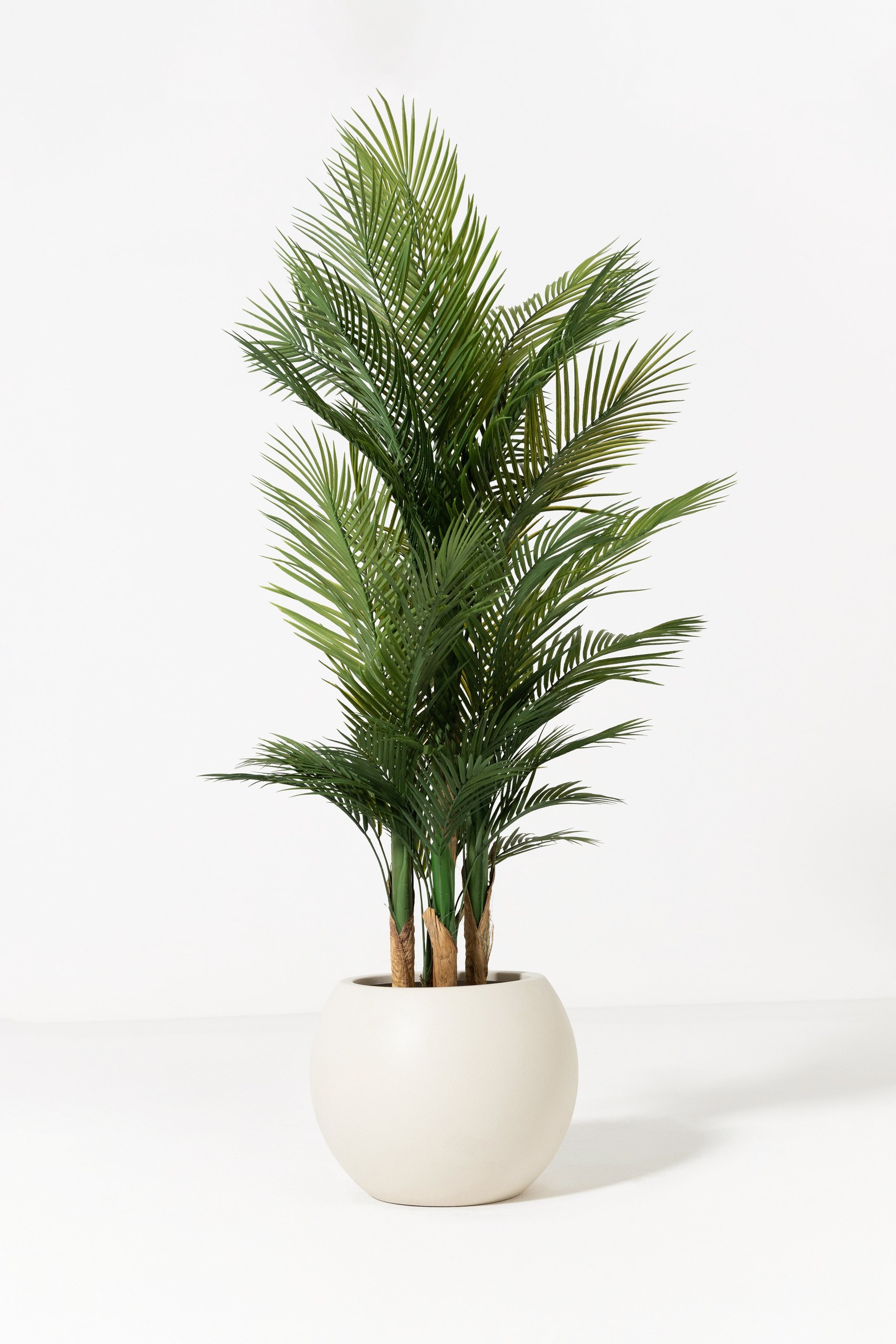 Aino Off White Textured Plastic Pot - Image 4