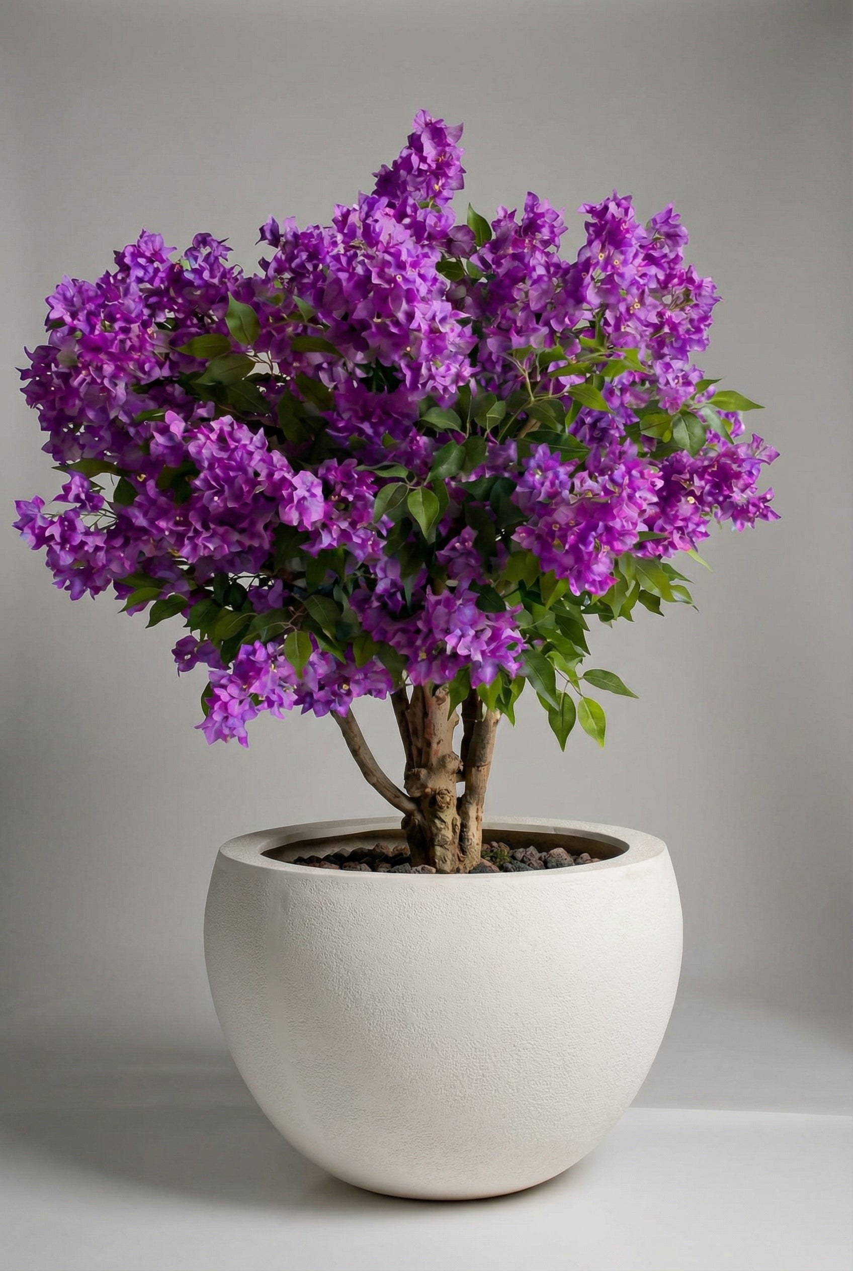 Artificial Purple Blossom Tree with Natural Trunk (180CM)