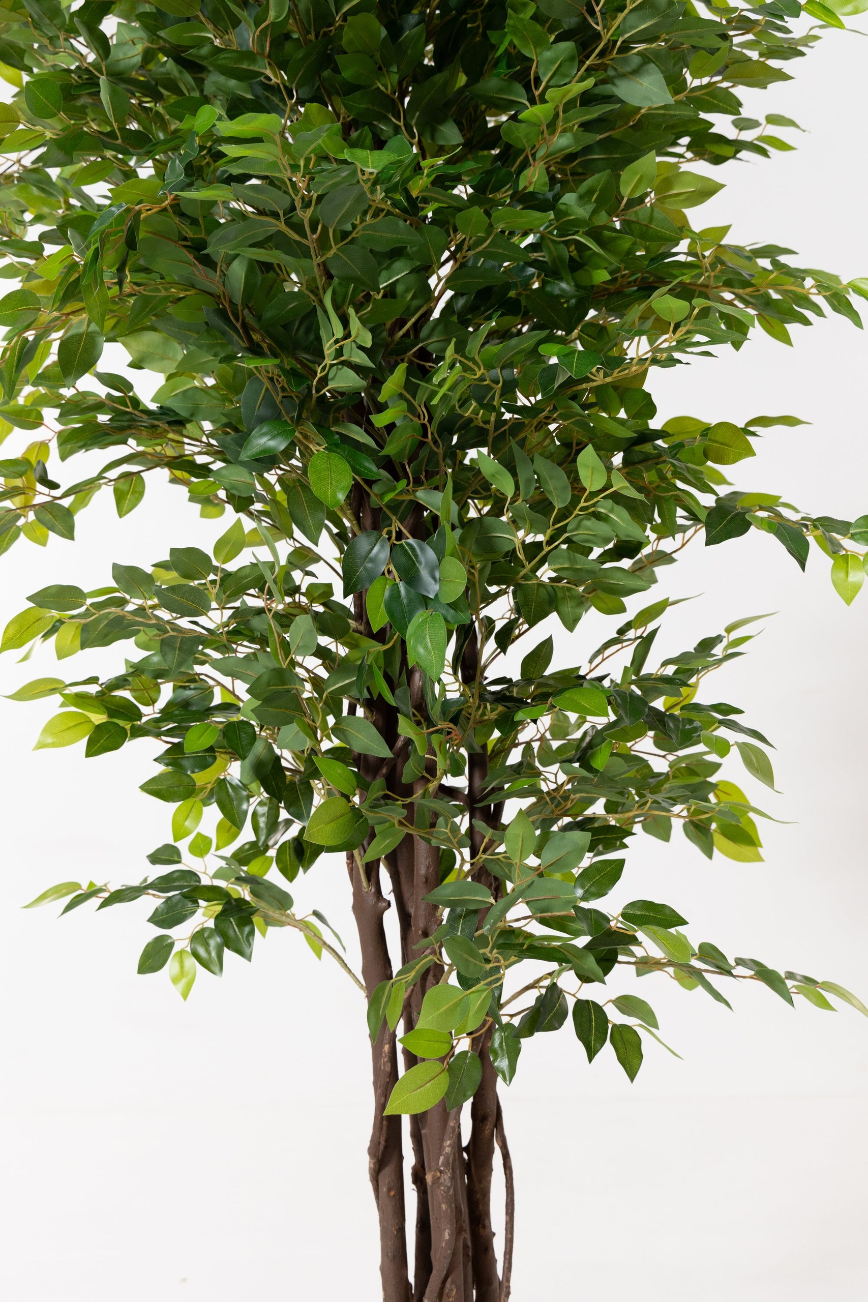 Artificial Ficus Benjamina Tree (180CM) - Image 3