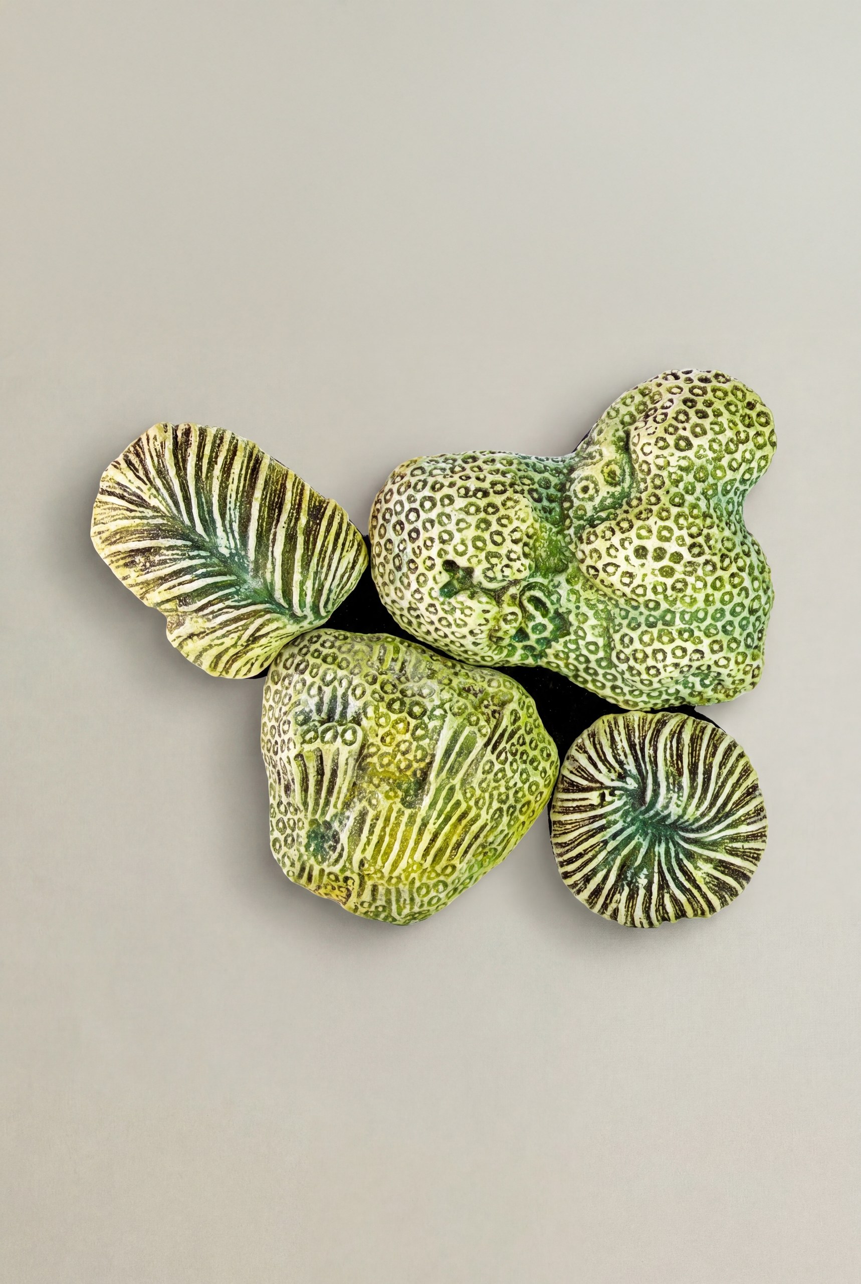 Calyxen Green Coral Inspired Wall Decor (45x40CM)