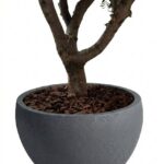 Zuno Dark Grey Fiber Pot