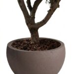 Zuno Dark Brown Fiber Pot