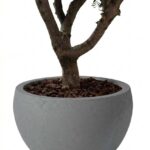 Zuno Light Grey Fiber Pot