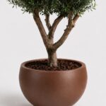 Zuno Bronze Fiber Pot