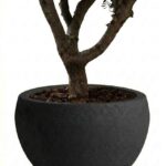 Zuno Black Fiber Pot