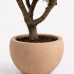 Zuno Peach Fiber Pot