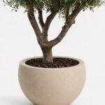 Zuno Cream Fiber Pot