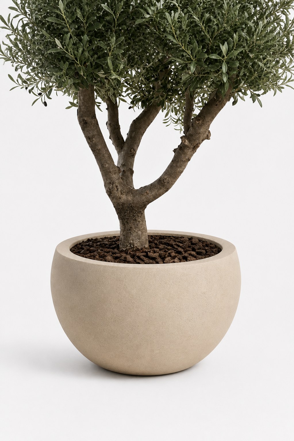 Zuno Cream Fiber Pot - Image 2