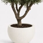 Zuno Off White Fiber Pot