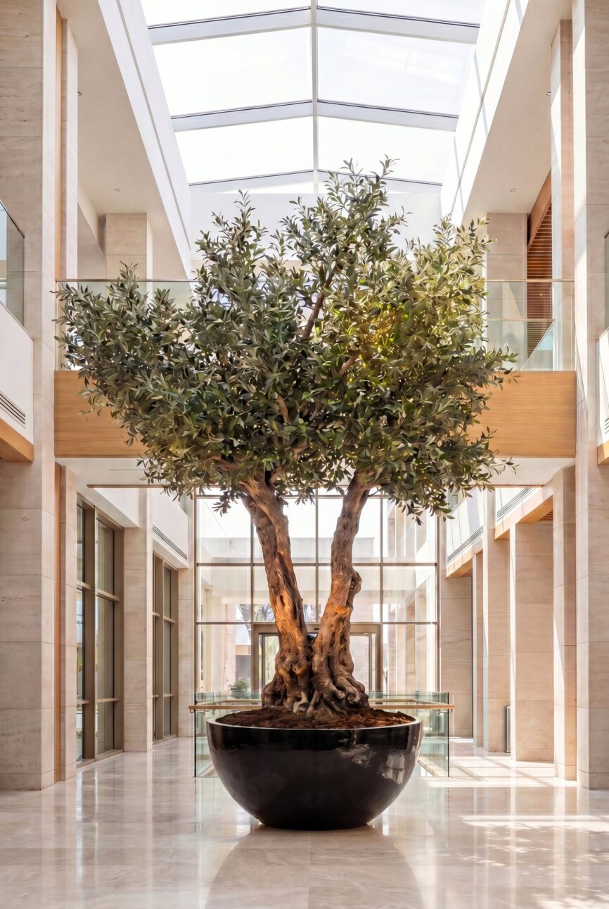 Artificial Olive Tree with Natural Trunk & Black Bowl Pot (300CM)
