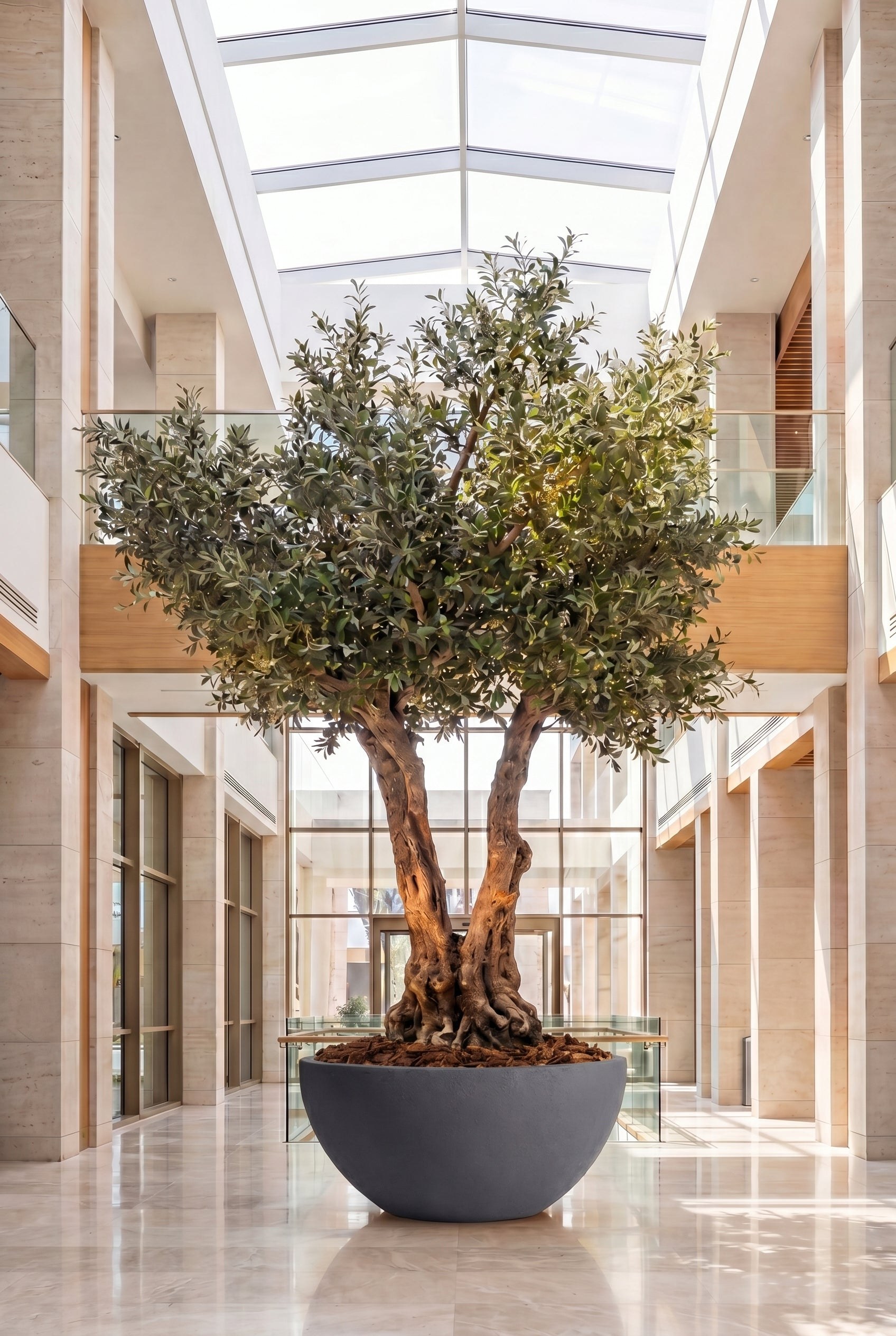 Artificial Olive Tree with Natural Trunk & Dark Grey Bowl Pot (300CM)