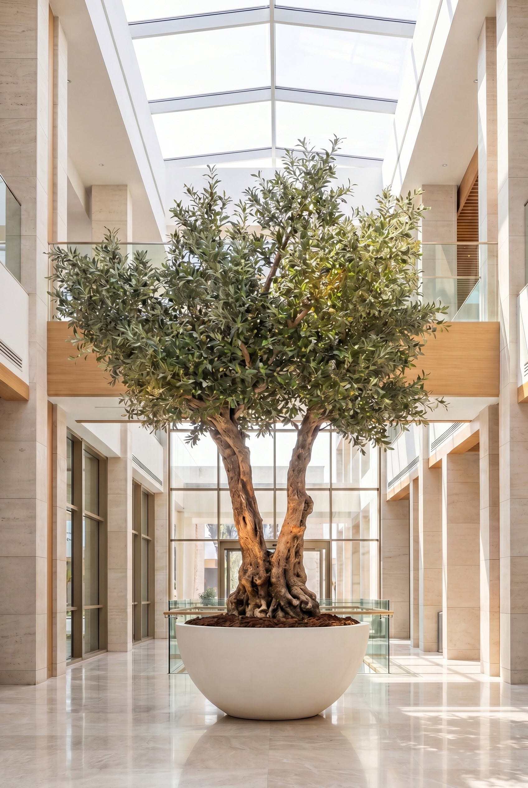 Artificial Olive Tree with Natural Trunk & Off White Bowl Pot (300CM)